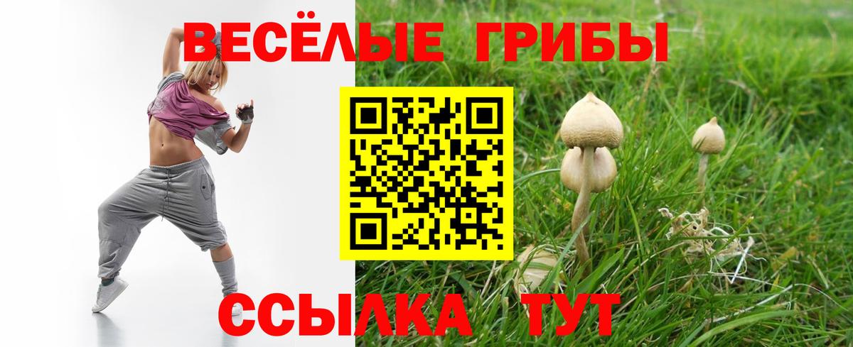 Галлюциногенные грибы ЛСД  Вход с VPN  купить   Ковров 